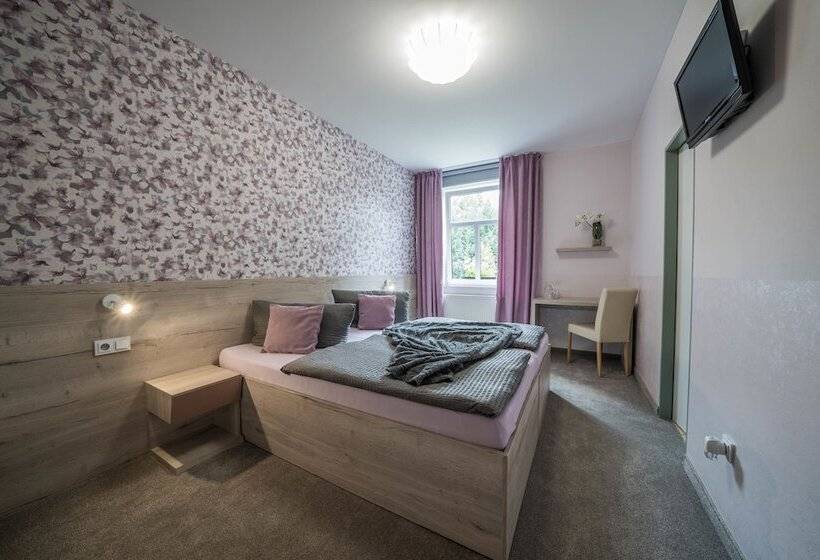 غرفة قياسية, Penzion Jasmín