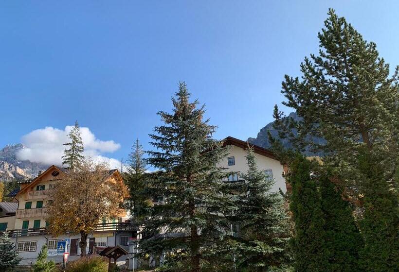 Номер Стандарт, Serena Cortina
