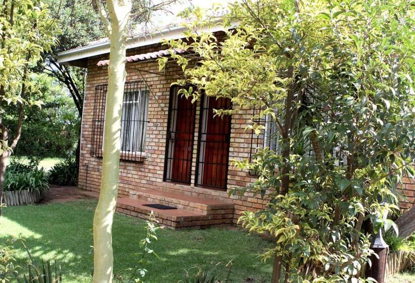 חדר סטנדרט יחיד, Airport Lodge Guest House