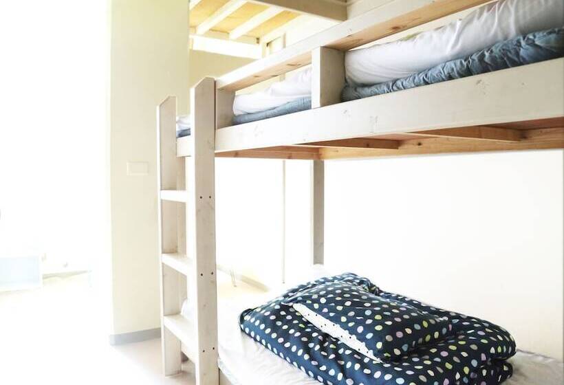 标准单人间, Little Asia Guest House