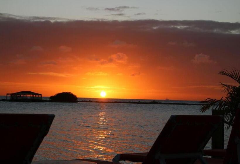 اتاق راحتی با چشمانداز دریا, Coral Reef Beach