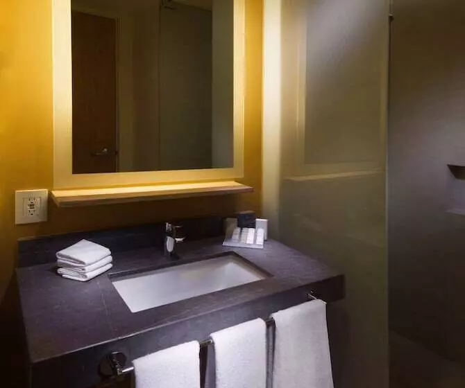 ２ダブルベッドのスタンダードルーム, Hilton Garden Inn Monterrey Airport