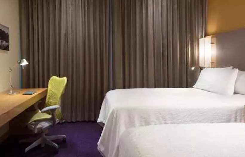 ２ダブルベッドのスタンダードルーム, Hilton Garden Inn Monterrey Airport