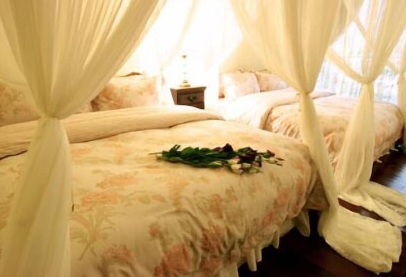 اتاق استاندارد, Ya Ya House