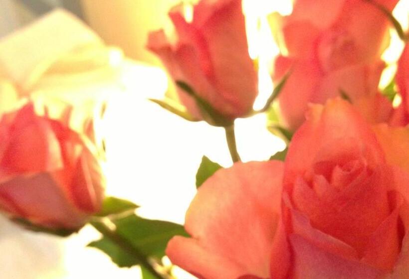 غرفة قياسية حمام مشترك, Aragon House