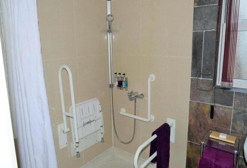 חדר סטנדרט מותאם לאדם עם מוגבלויות, Wildercombe House