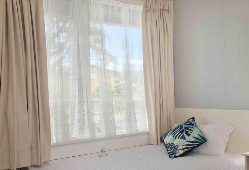 חדר סטנדרט יחיד מיטת קווין, The Tree Motel