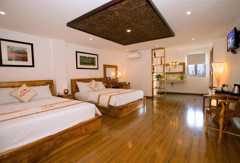 استودیوی استاندارد, Rex Hotel & Apartment