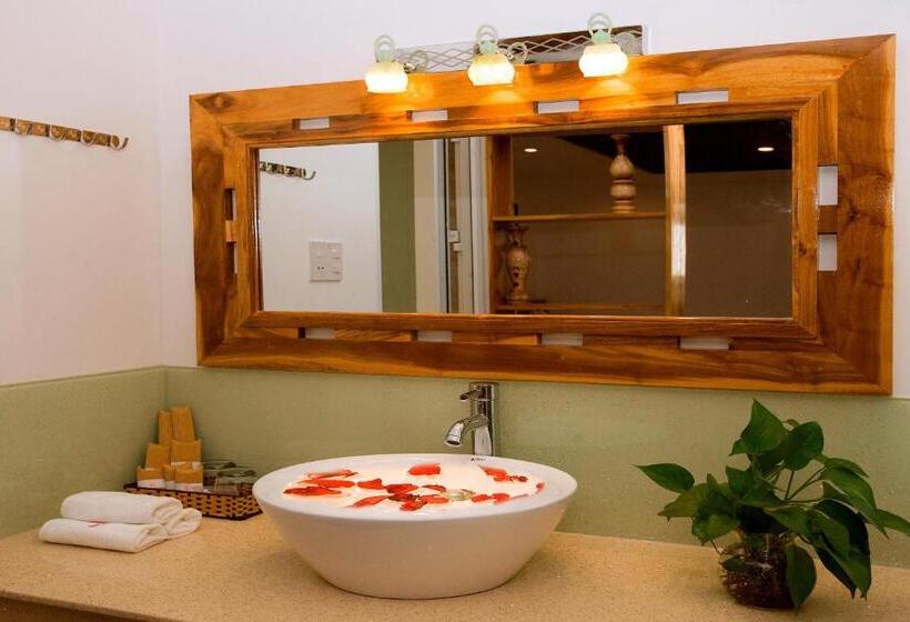 استودیوی استاندارد, Rex Hotel & Apartment