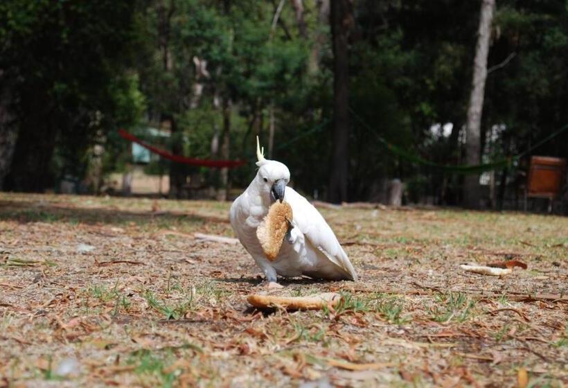 经济房, Gariwerd Motel