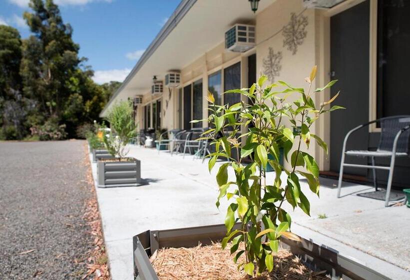 高级大房间, Gariwerd Motel