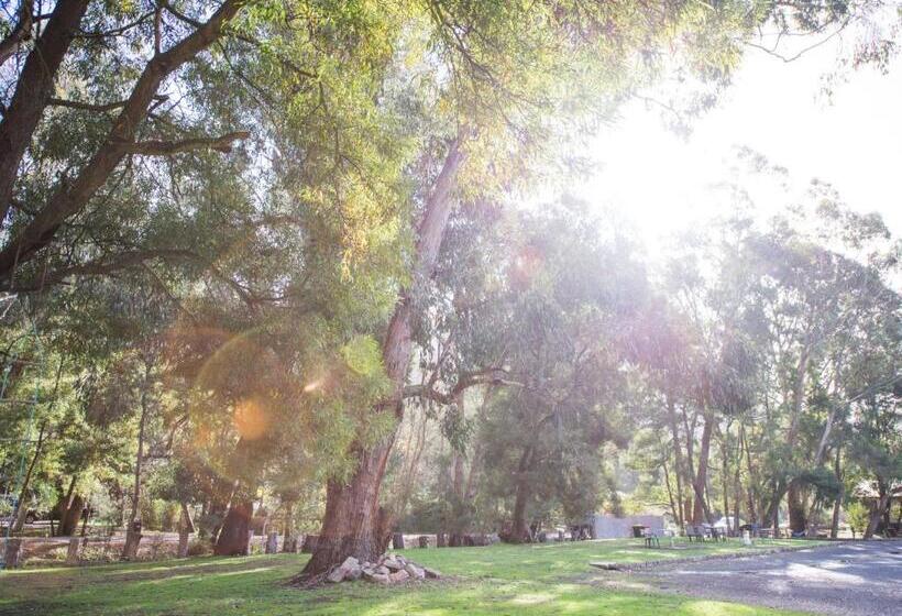 高级大房间, Gariwerd Motel