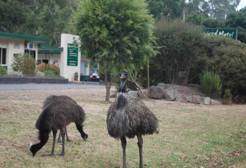 高级大房间, Gariwerd Motel
