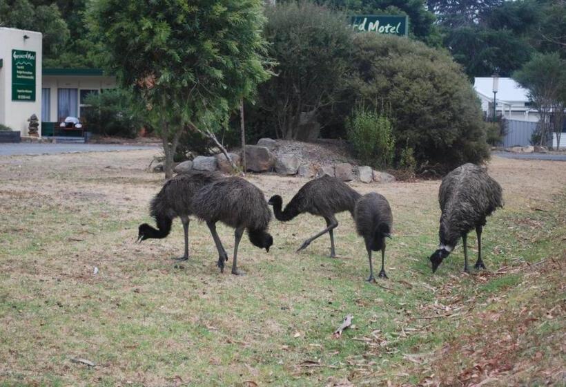 经济房, Gariwerd Motel