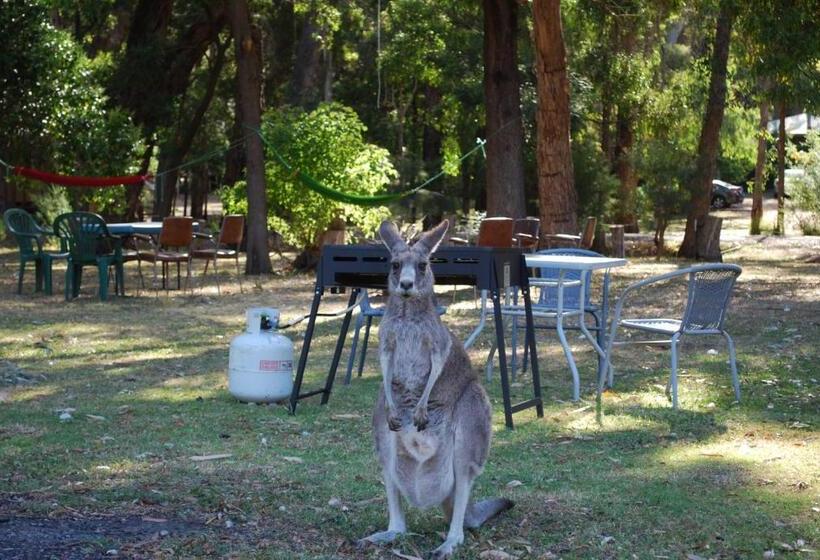 经济房, Gariwerd Motel