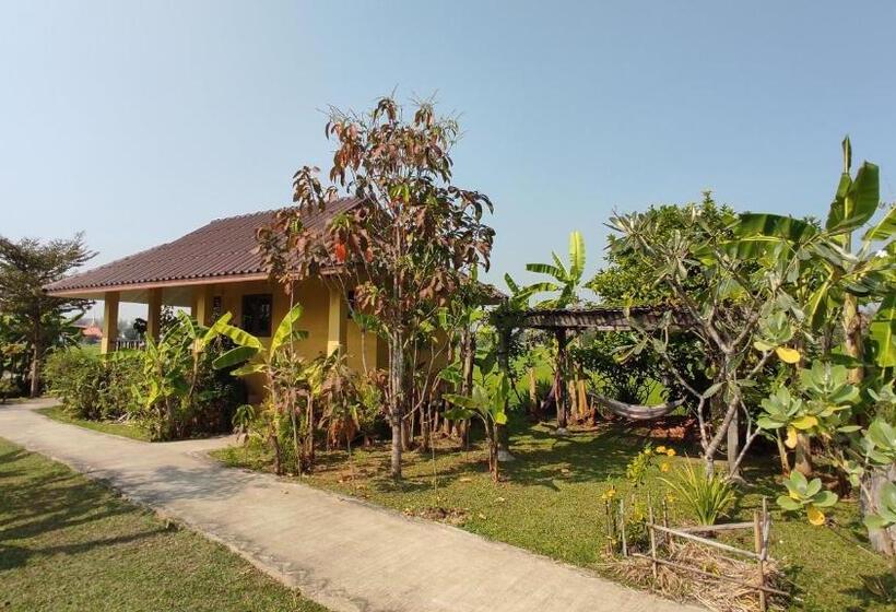 בקתה סטנדרטית, Country Retreat