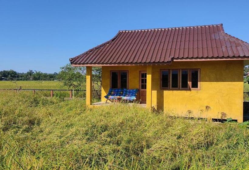 חדר סופריור, Country Retreat