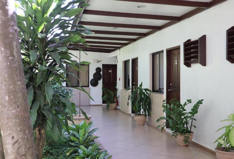 اتاق سوپریور با چشمانداز باغ, Domicilio Lorenzo