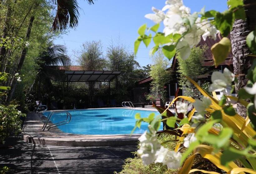 اتاق لوکس, Domicilio Lorenzo