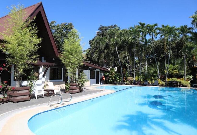 اتاق لوکس, Domicilio Lorenzo