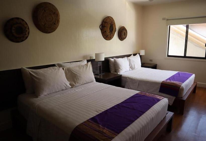 سوییت جونیور, Domicilio Lorenzo