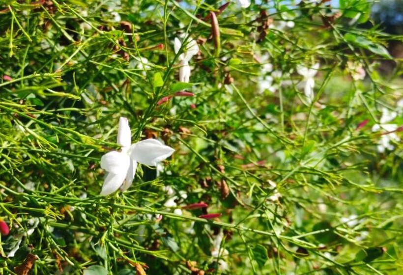 סטודיו סטנדרט, מיטה זוגית, Le Zagare Di Vendicari