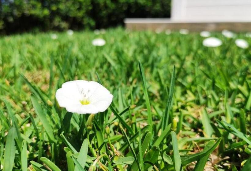 דירת חדר, Le Zagare Di Vendicari