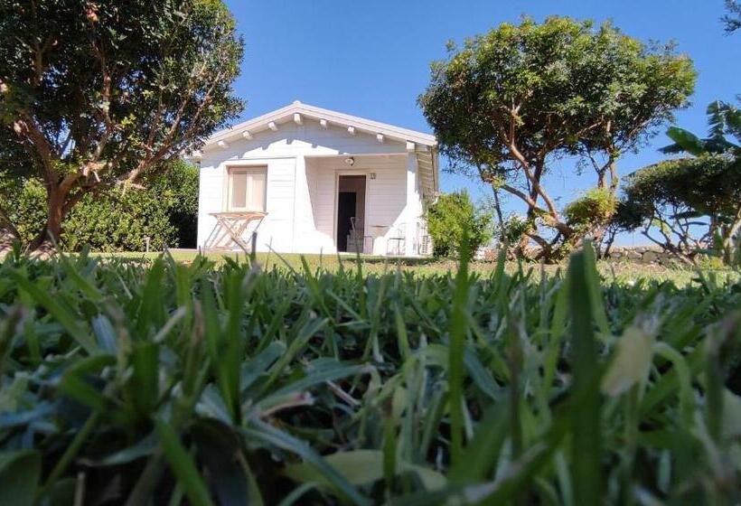 דירת חדר, Le Zagare Di Vendicari