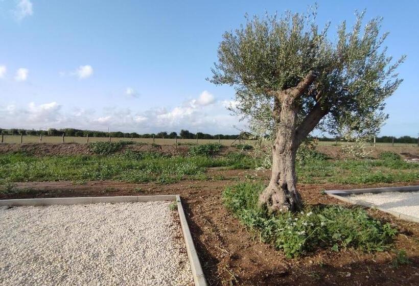 דירת חדר, Le Zagare Di Vendicari