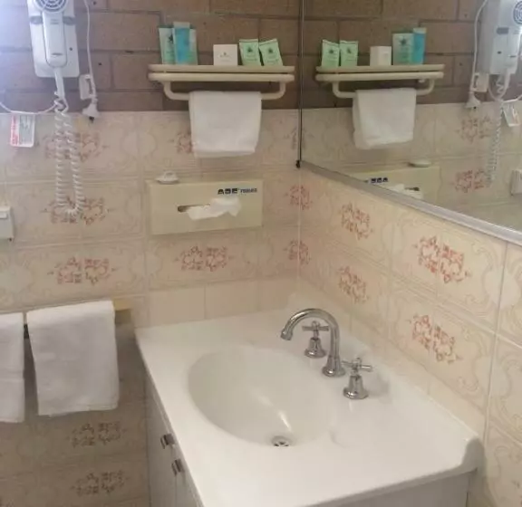 Standard Yhden Hengen Huone, Alexander Motor Inn
