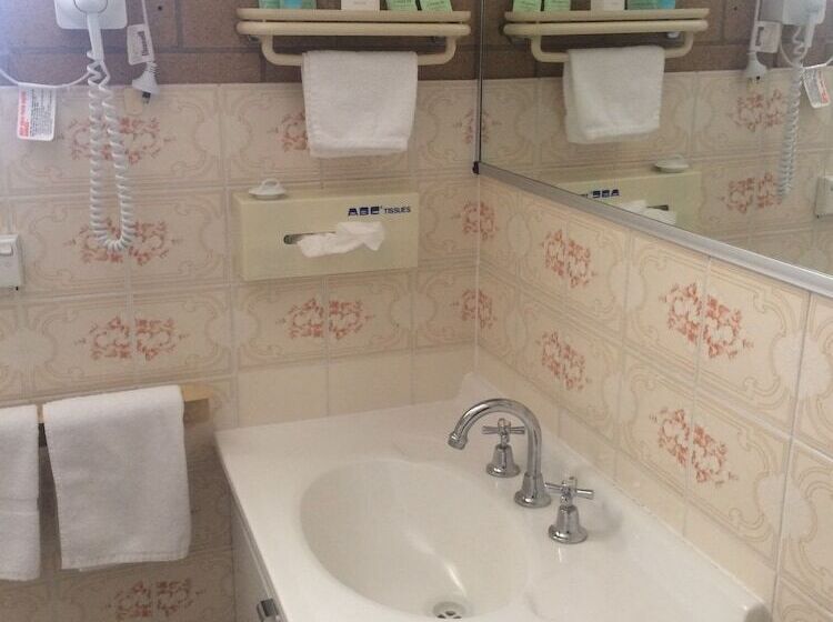 غرفة قياسية فردية, Alexander Motor Inn