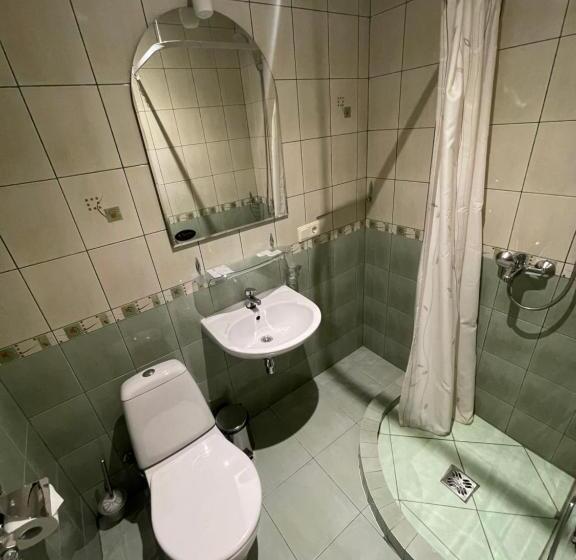 اتاق استاندارد یک نفره, Palanga Park