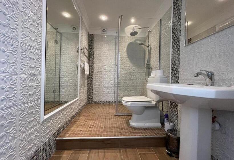 اتاق لوکس خانوادگی, Palanga Park