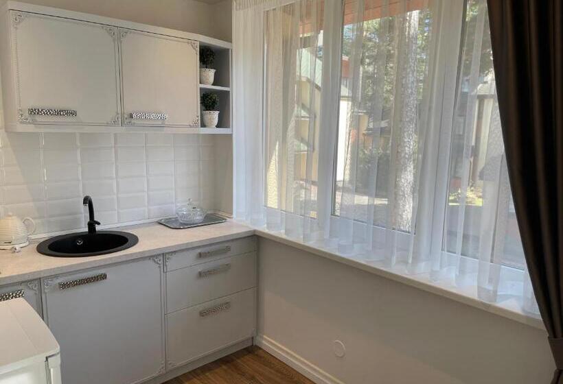 اتاق لوکس خانوادگی, Palanga Park