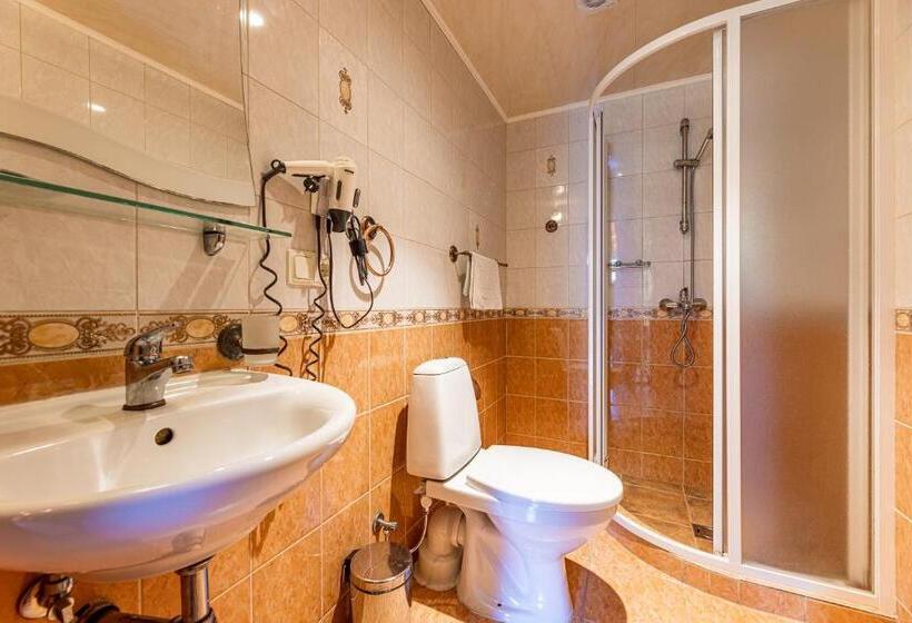 اتاق استاندارد با بالکن, Palanga Park