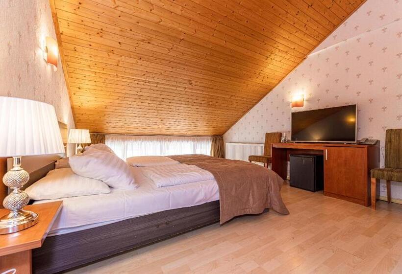 اتاق استاندارد با بالکن, Palanga Park