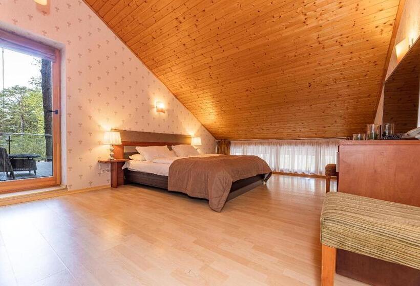 اتاق استاندارد با بالکن, Palanga Park