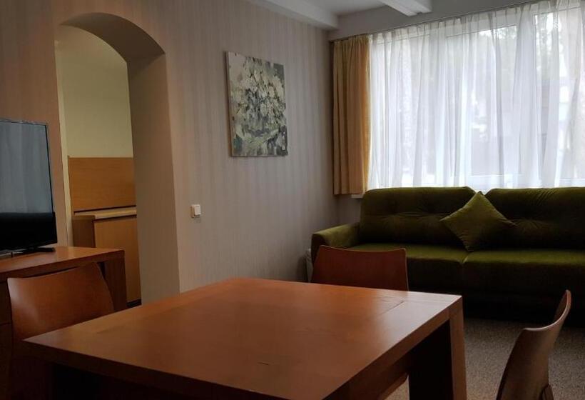 اتاق سوپریور خانوادگی, Palanga Park