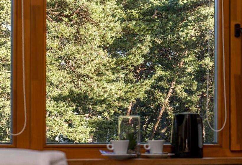 اتاق استاندارد, Palanga Park