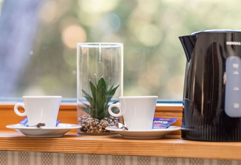 اتاق استاندارد یک نفره, Palanga Park