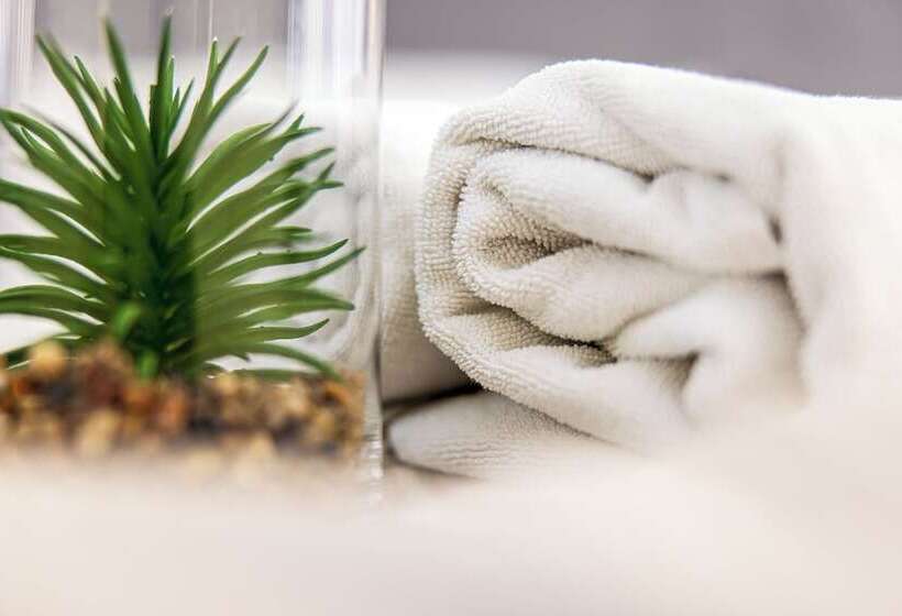 اتاق خانوادگی, Palanga Park