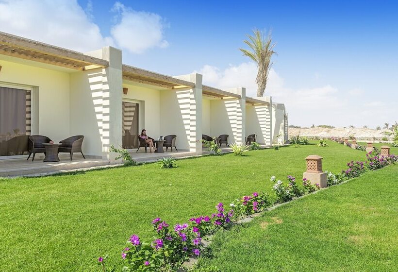 اتاق سوپریور با چشمانداز دریا, Caesar Bay Resort