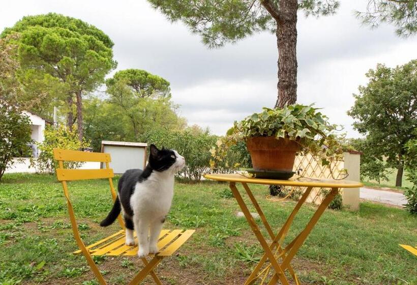 Номер Стандарт, Campanacci Agriturismo