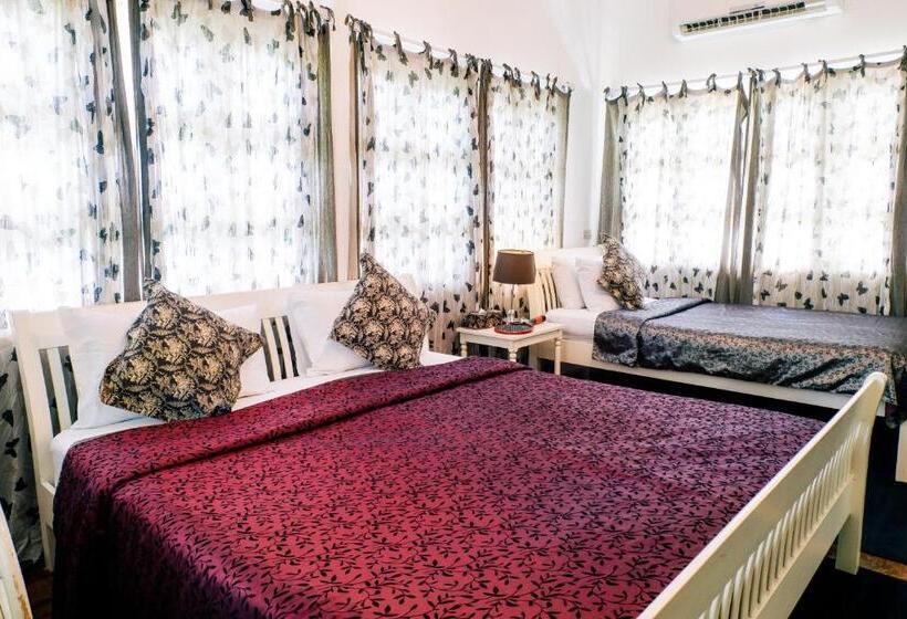 带大床的标准间, Green Gallery Beach Boutique