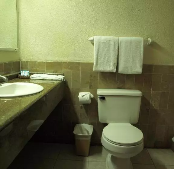 اتاق استاندارد با تخت بزرگ, La Quinta