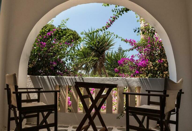 غرفة قياسية, Naxos Beach