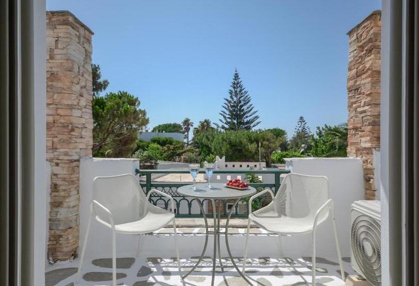 غرفة قياسية, Naxos Beach