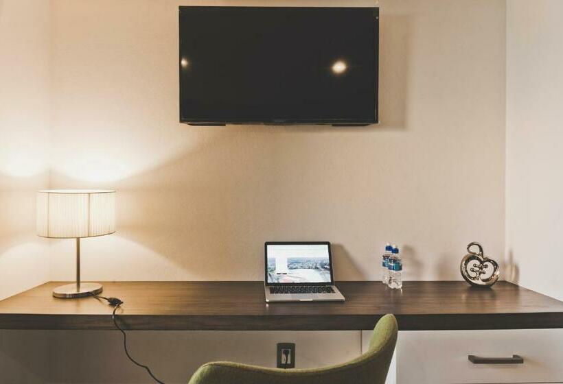 Номер Стандарт, Platino Expo Guadalajara