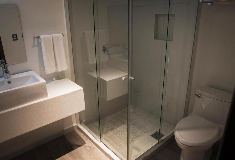 Полулюкс, Platino Expo Guadalajara