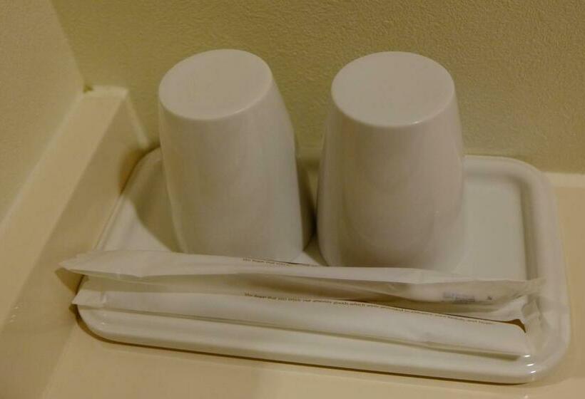 اتاق استاندارد یک نفره, Resort Inn Fuyo